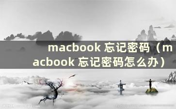 macbook 忘记密码（macbook 忘记密码怎么办）